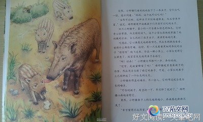 《2666》的读后感10篇