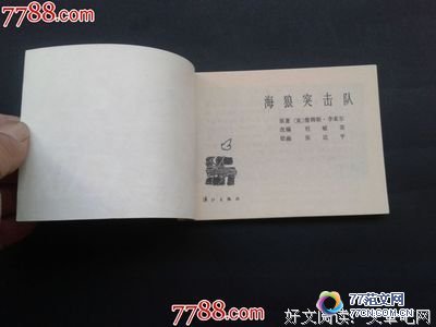 《海狼突击队》的观后感10篇