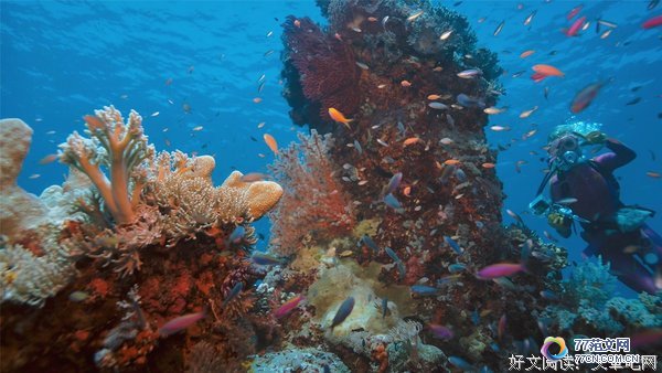 ����������ӡ����Ӱ��10ƪ