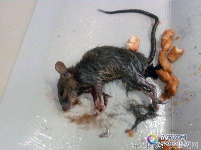 ������ǡ��ÿ��𣿾���ۺ��10ƪ