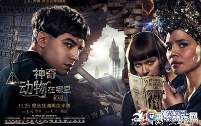 ��Σ�չ�ϵ������ۺ��10ƪ