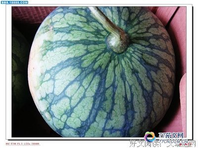 �����������ġ�Ӱ��10ƪ