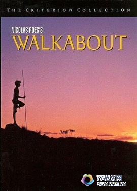 《小姐弟荒原历险》的观后感10篇