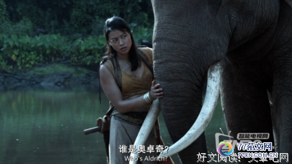 ���ռ���С�����ۺ��10ƪ