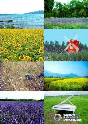 ����ǽ���ۺ�о�ѡ10ƪ