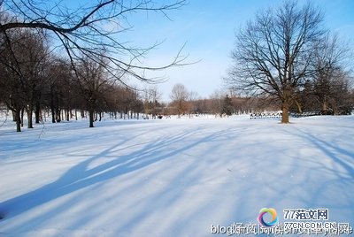 ��ӣ�ҵ���ζ������ۺ��10ƪ