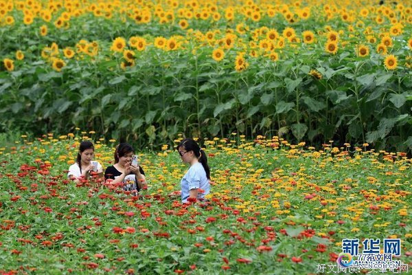 ���������»�������ۺ�м�