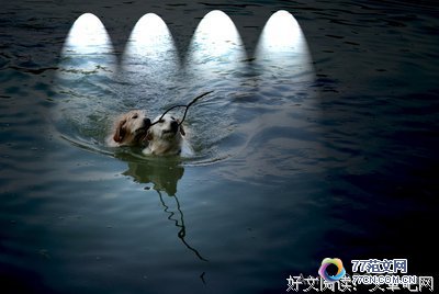 ���氮ͬ�ġ��ۺ��10ƪ