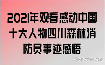 2021年观看感动中国十大人物四川森林消防员事迹感悟
