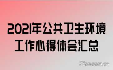 2021�깫���������������ĵ�������