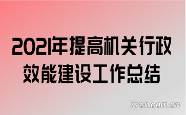 2021年规范化服务型政府建设工作总结范文