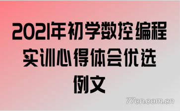 2021���ѧ���ر��ʵѵ�ĵ������ѡ����