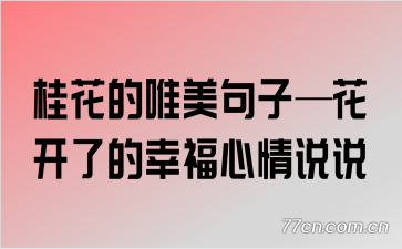 �𻨵�Ψ�����ӡ������˵��Ҹ�����˵˵