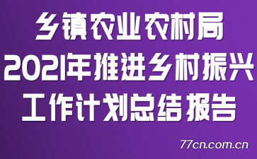 ũҵũ2021ƽ˹ƻܽᱨ