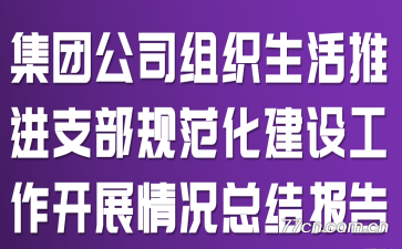 集团公司组织生活推进支部规范化建设工作开展情况总结报告