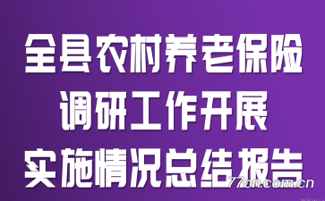 ȫ��ũ�����ϱ��յ��й�����չʵʩ����ܽᱨ��