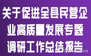 ���ڴٽ�ȫ����Ӫ��ҵ��������չר����й����ܽᱨ��