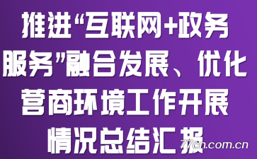 推进“互联网+政务服务”融合发展、优化营商环境工作开展情况总结汇报