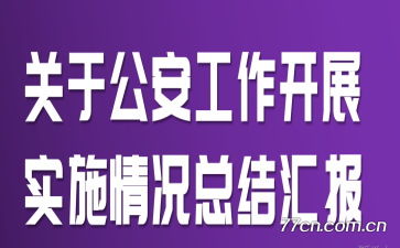 关于公安工作开展实施情况总结汇报