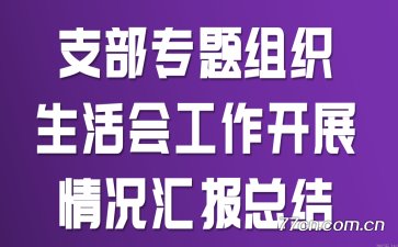 支部专题组织生活会工作开展情况汇报总结