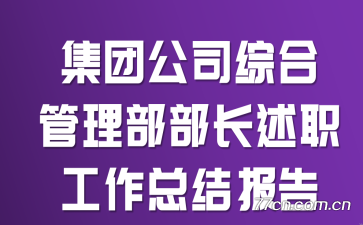 ���Ź�˾�ۺϹ�����������ְ�����ܽᱨ��