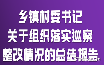 乡镇村委书记关于组织落实巡察整改情况的总结报告