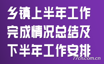 乡镇上半年工作完成情况总结及下半年工作安排