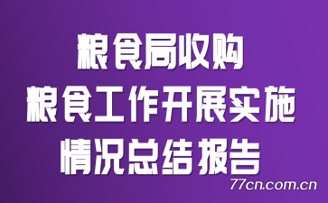 ʳչʳչʵʩܽᱨ
