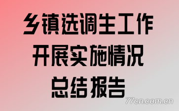 ѡչʵʩܽᱨ