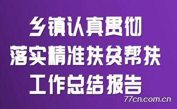 ᳹ʵ׼ƶܽᱨ