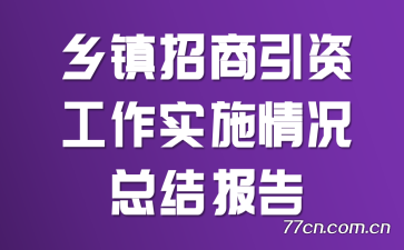 ʹʵʩܽᱨ