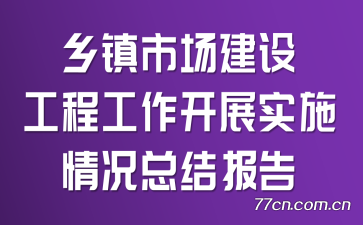 г蹤̹չʵʩܽᱨ