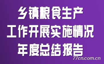 ʳչʵʩܽᱨ