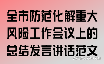 全市防范化解重大风险工作会议上的总结发言讲话范文