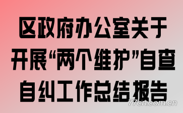 区政府办公室关于开展“两个维护”自查自纠工作总结报告