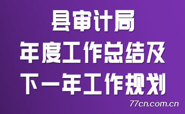 县审计局年度工作总结及下一年工作规划