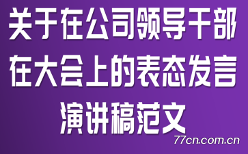 �����ڹ�˾�쵼�ɲ��ڴ���ϵı�̬�����ݽ��巶��