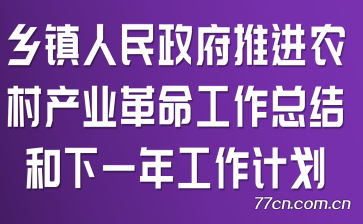 乡镇人民政府推进农村产业革命工作总结和下一年工作计划
