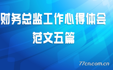 财务总监工作心得体会范文五篇