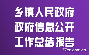 ������������������Ϣ���������ܽᱨ��