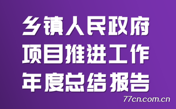 乡镇人民政府项目推进工作年度总结报告