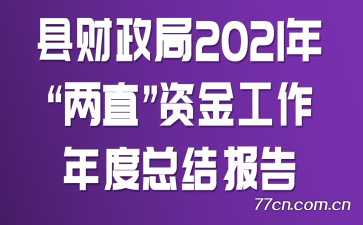 县财政局2021年“两直”资金工作年度总结报告
