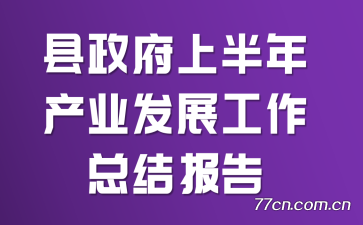 �������ϰ����ҵ��չ�����ܽᱨ��