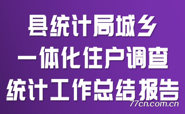县统计局城乡一体化住户调查统计工作总结报告