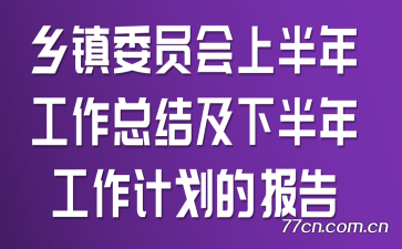 乡镇委员会上半年工作总结及下半年工作计划的报告