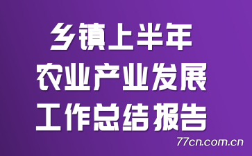 �����ϰ���ũҵ��ҵ��չ�����ܽᱨ��