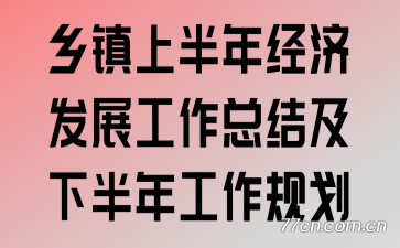 乡镇上半年经济发展工作总结及下半年工作规划