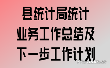 县统计局统计业务工作总结及下一步工作计划