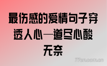 ���˸еİ�����Ӵ�͸���ġ�������������