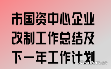 市国资中心企业改制工作总结及下一年工作计划